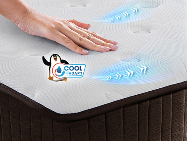 cocoon-detail-features-1