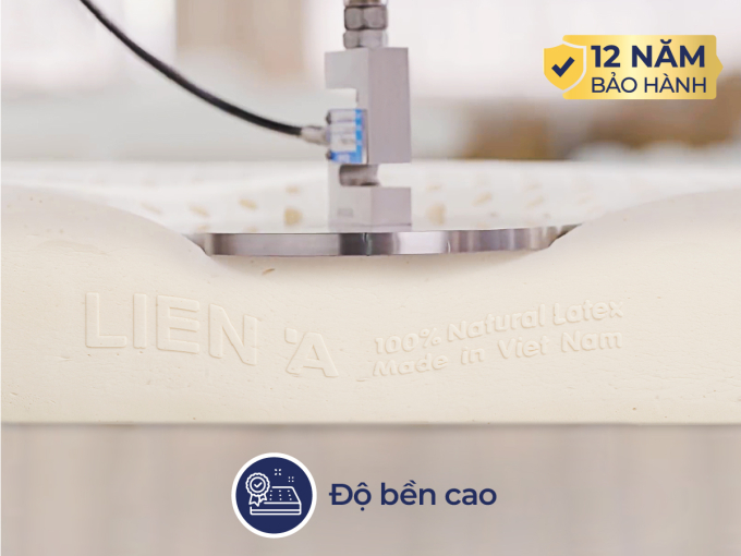 5zonepre-sub-thumn-4-1