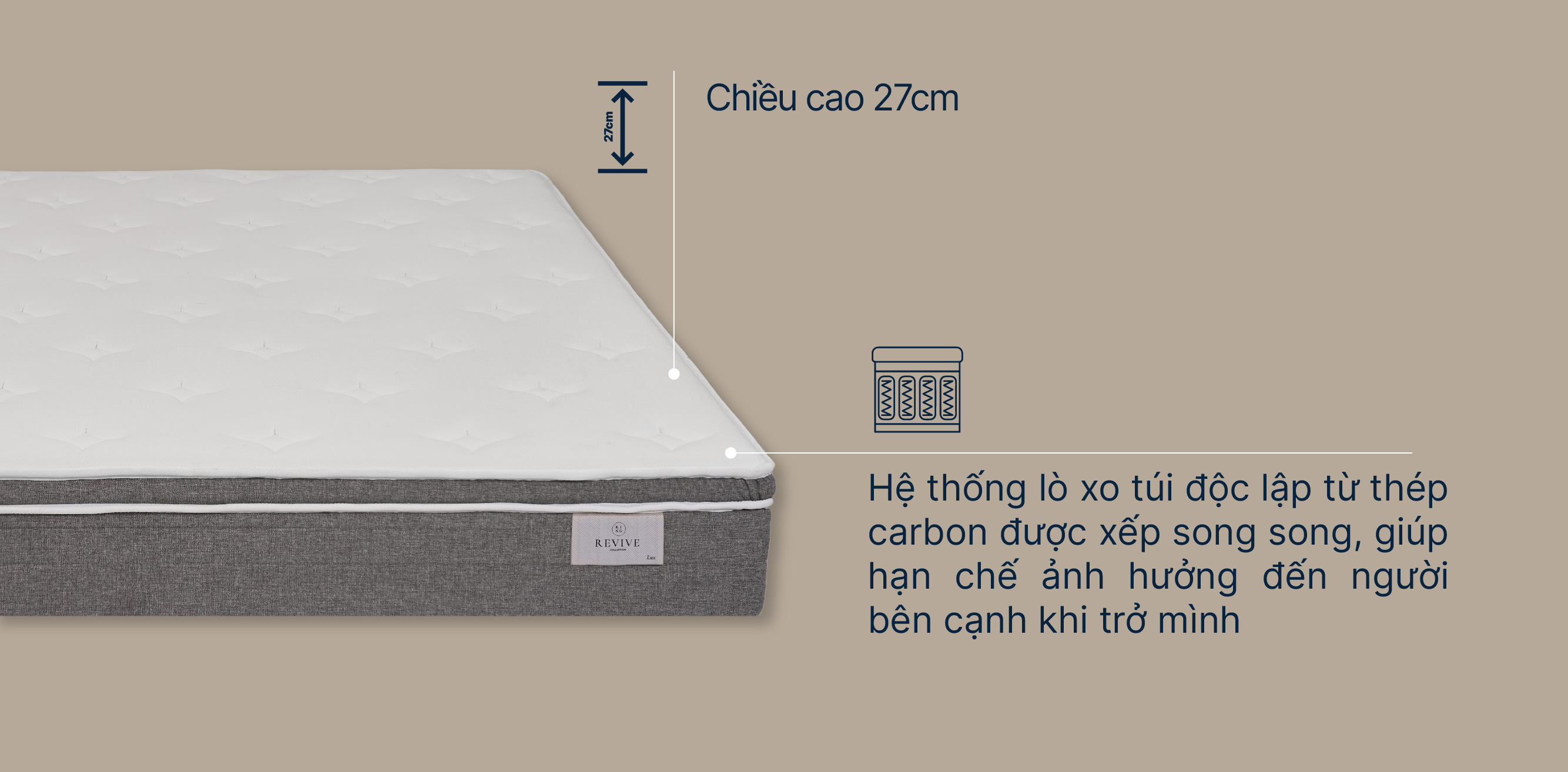 Mo-ta-Revive-lux-moi-02