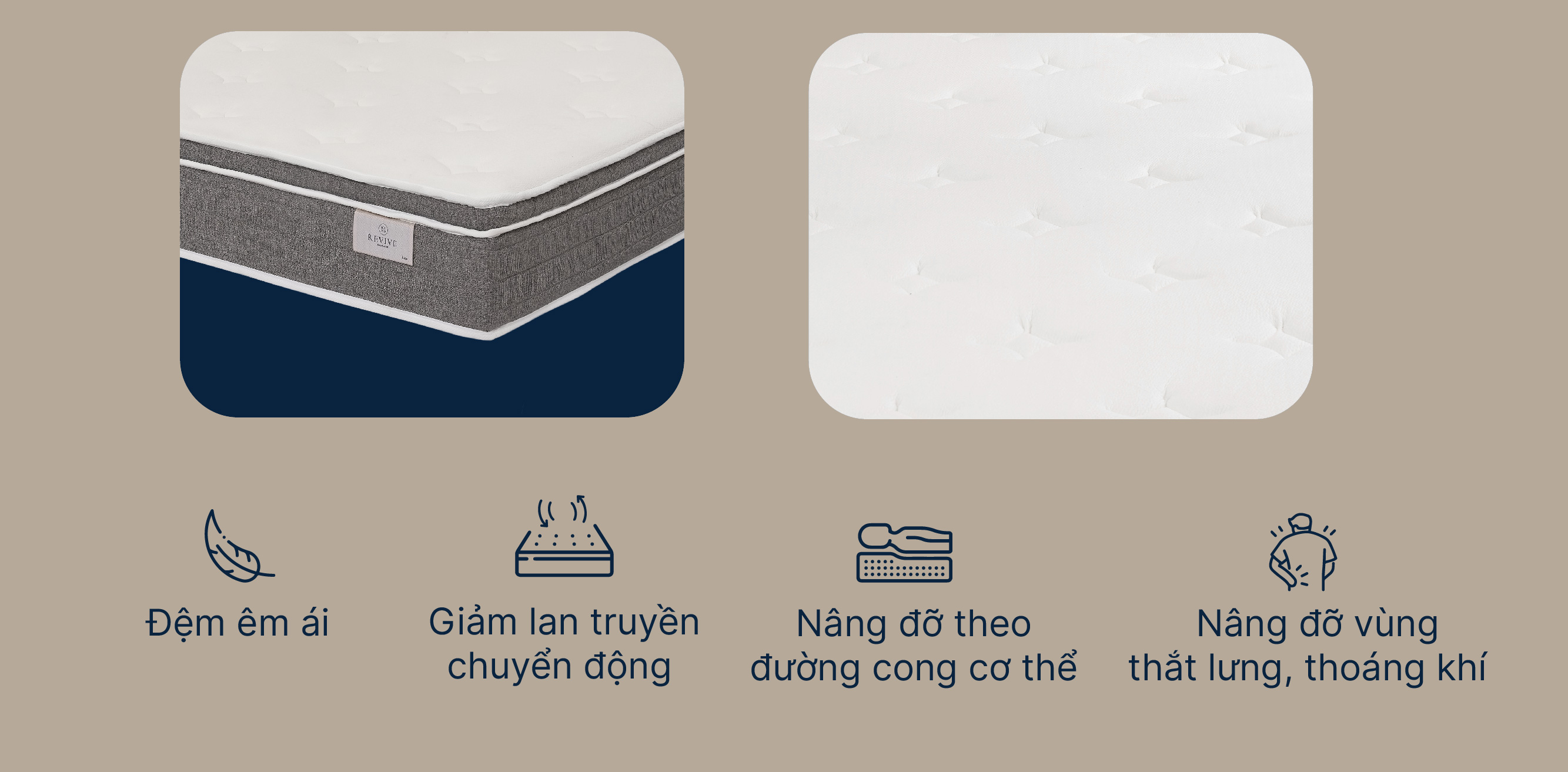 Mo-ta-Revive-lux-moi-04