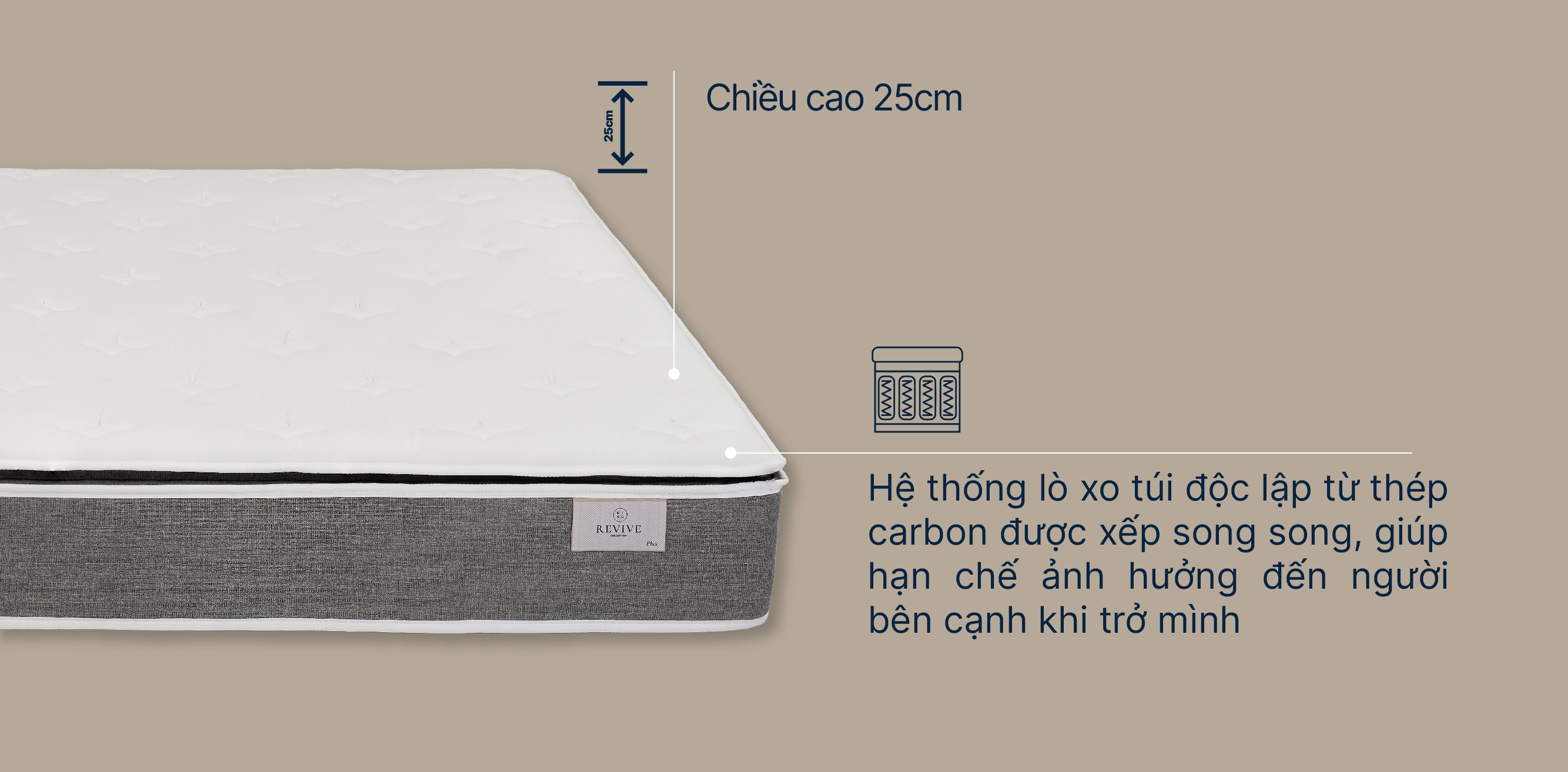 Mo-ta-Revive-plus-moi-02