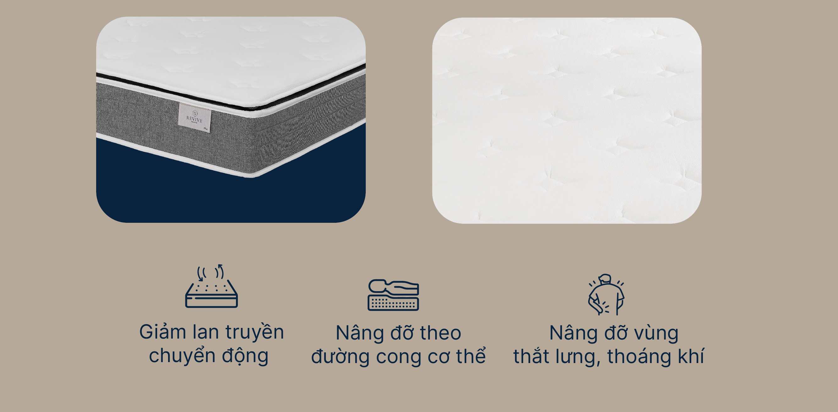 Mo-ta-Revive-plus-moi-04