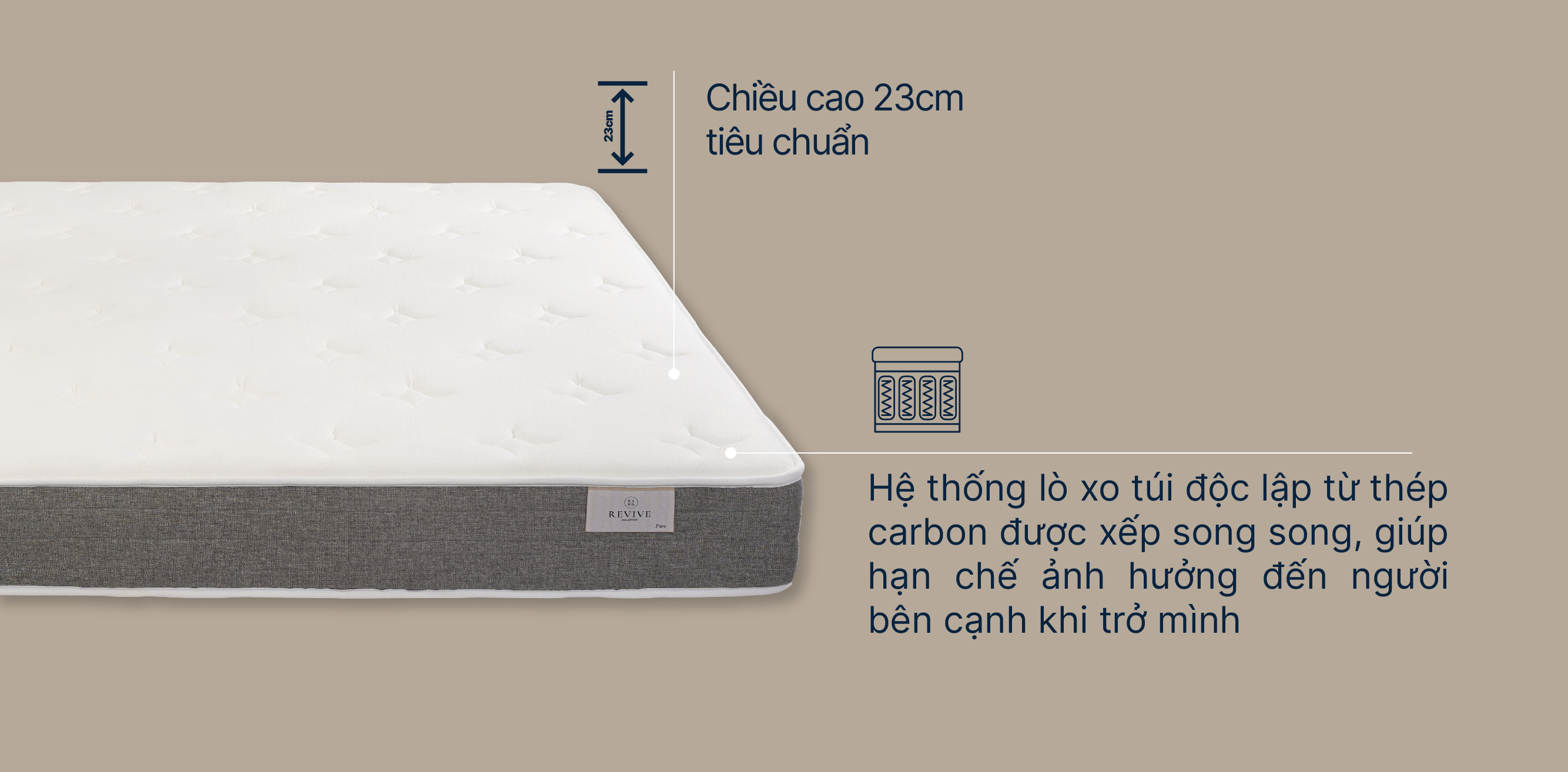 Mo-ta-Revive-pure-02