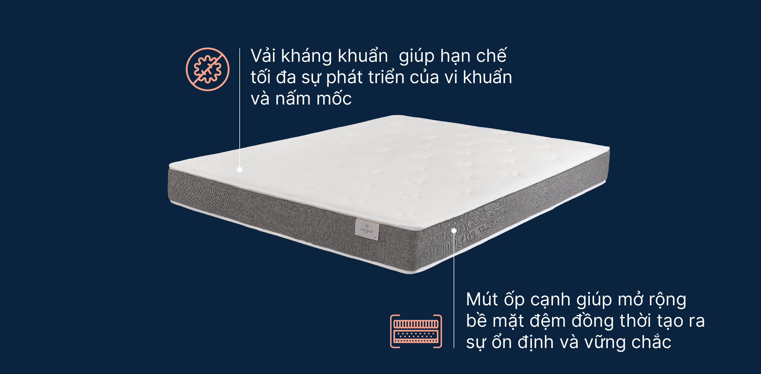 Mo-ta-Revive-pure-03