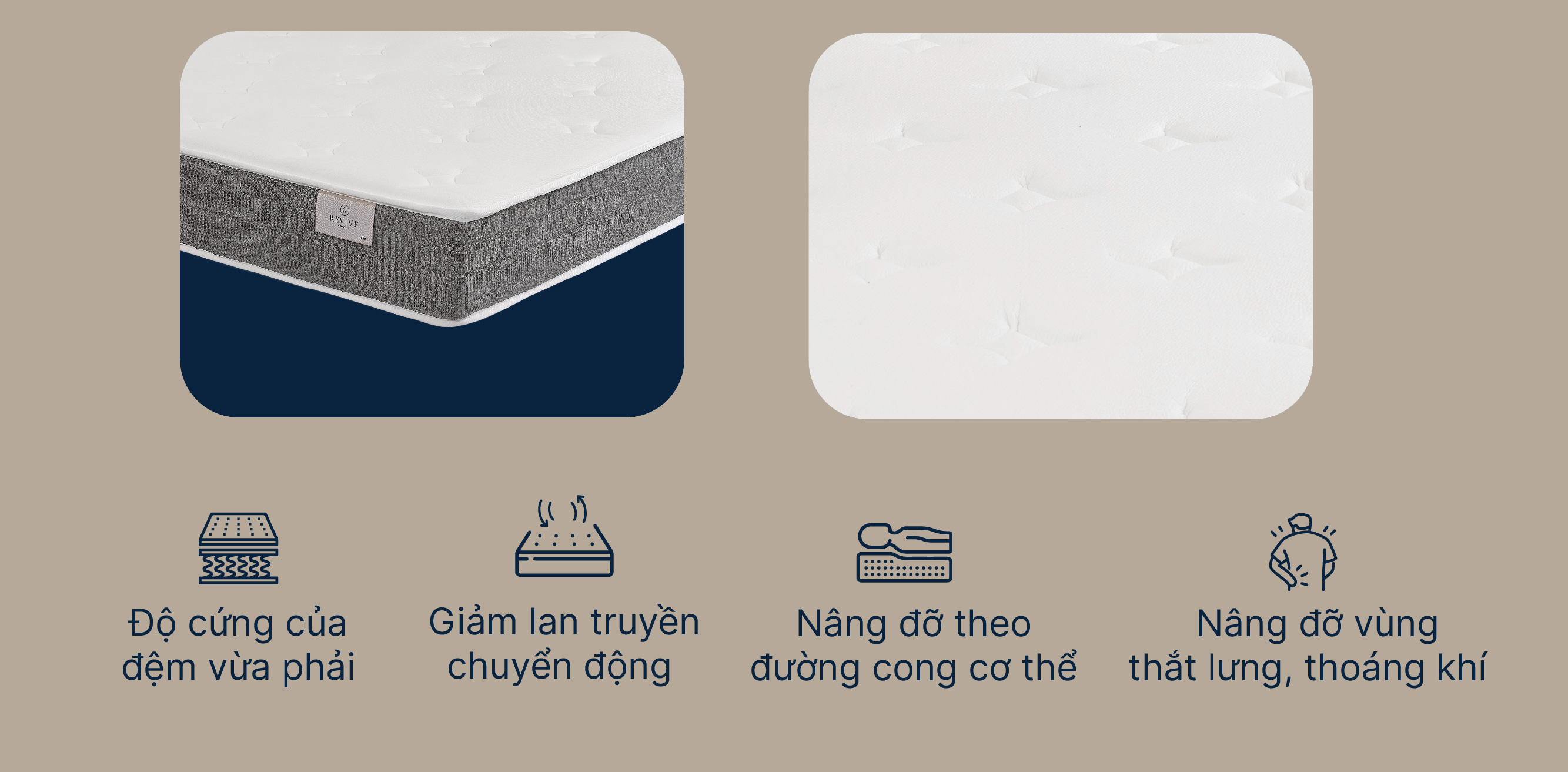 Mo-ta-Revive-pure-04