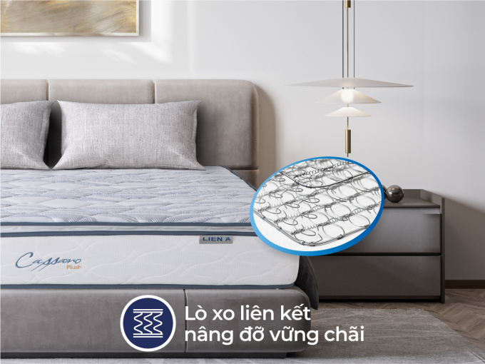 cassaroplush-sub-thumn-1-1