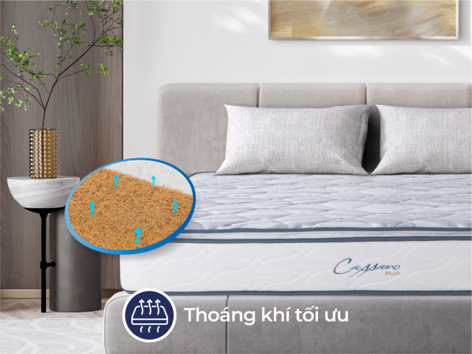 cassaroplush-sub-thumn-2-1