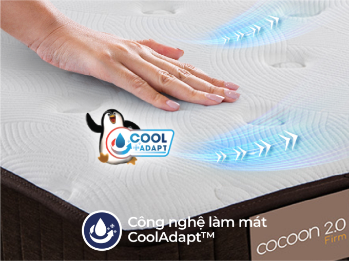 cocoonfirm-sub-thumn-1