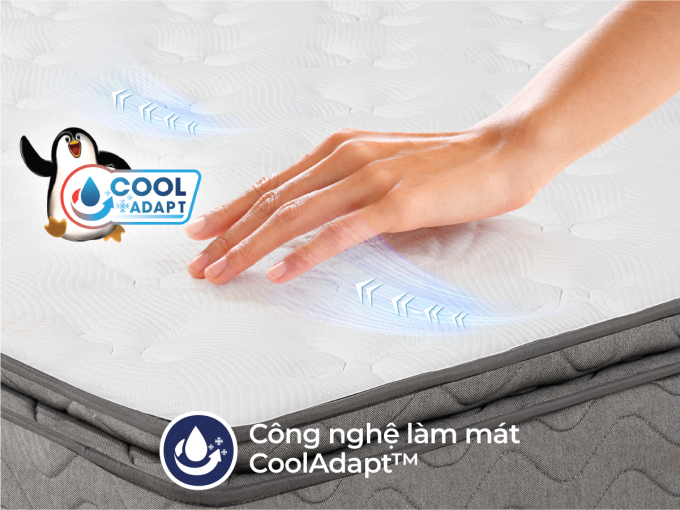 cocoongreyluxe-sub-thumn-2-1