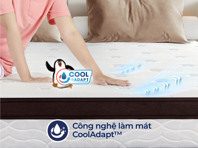 cocoonpre-sub-thumn-1-1