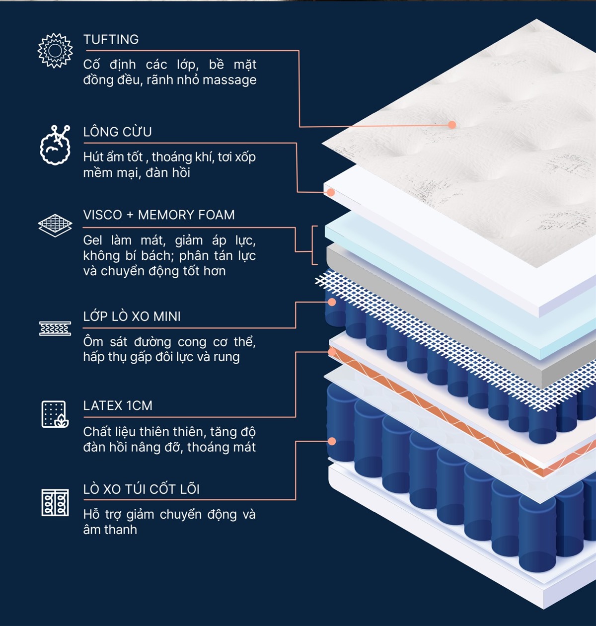 dem-lo-xo-King-Koil-Arise-Plus-6