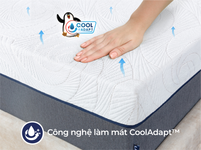 ikiluxe-sub-thumn-2-1