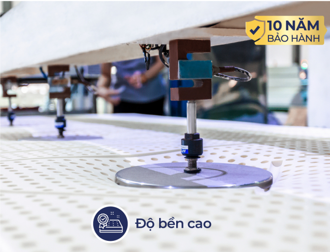 legacy-sub-thumn-3-1