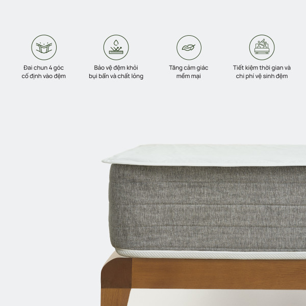 topper-bao-ve-dem-co-icon-tam-bao-ve-dem-600x0-1