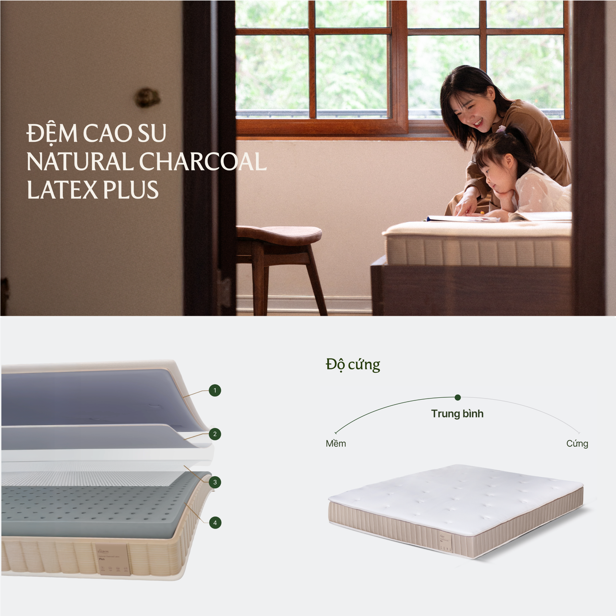 web-info-template-brief-2000-x-2000-px