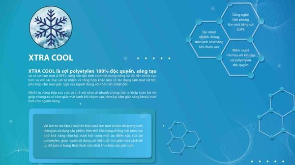 xtracool_764bc2b8ae0a452884642e7beb759e58_grande