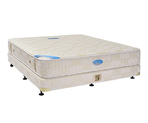 Đệm lò xo túi Fresh Ever 1