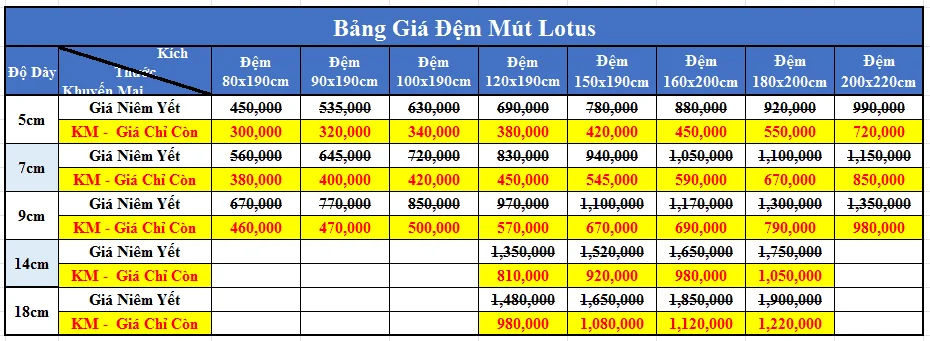 Đệm mút Lotus