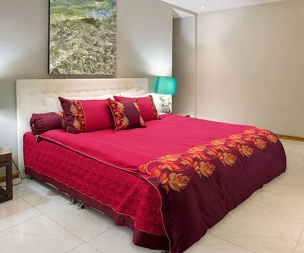 Bộ CGG Blue Sky BS 47