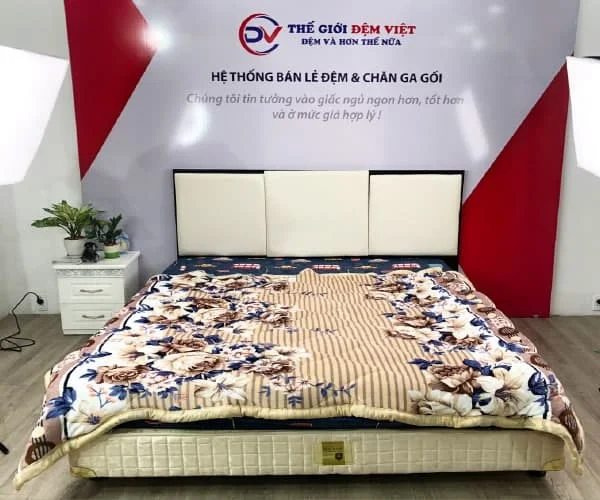 Chăn lông cừu giá rẻ mẫu 2