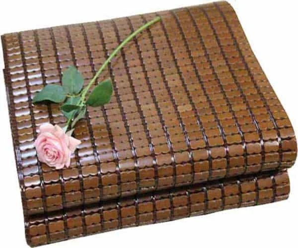 CHIẾU TRÚC HẠT ĐEN TẠI HÀ NỘI