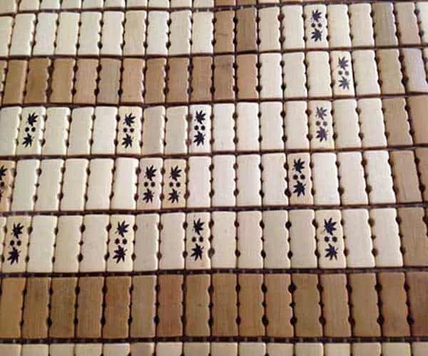 chiếu trúc phú thọ