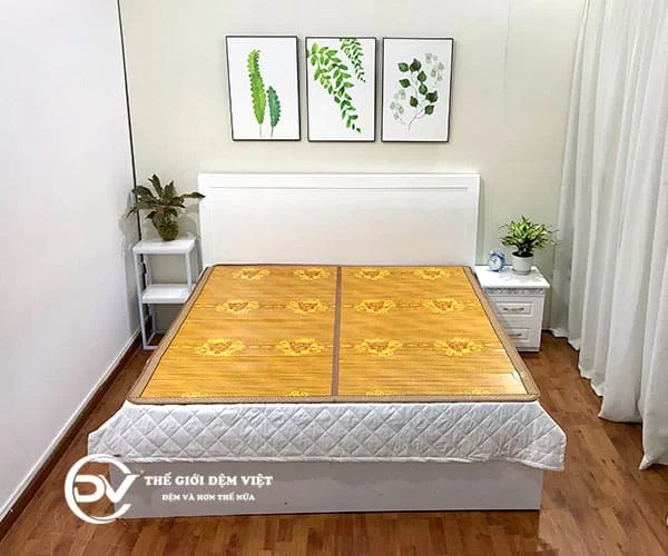 Chiếu trúc tăm rồng 3
