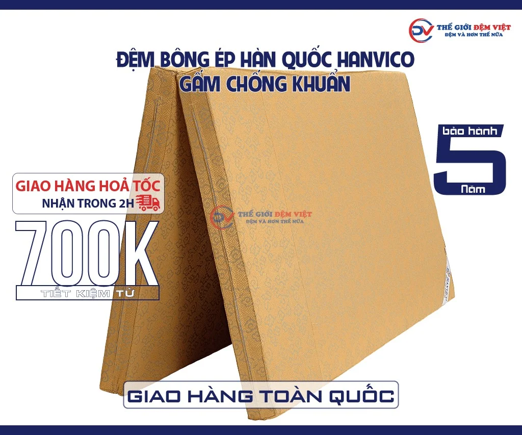 dem-bong-ep-han-quoc-hanvico-gam-chong-khuan-07