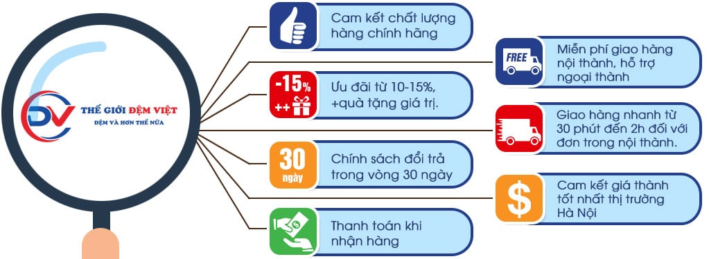 Tại sao bạn nên chọn Thế giới đệm Việt