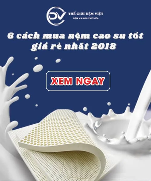 【Tư Vấn】 Mua nệm cao su tốt nhất, giá rẻ nhất hiện nay 2020