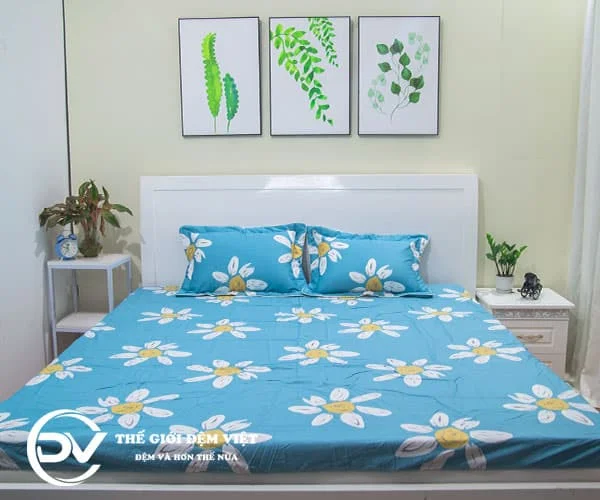bộ chăn ga gối ellisha 01