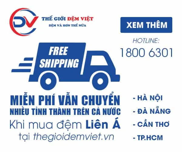 free-ship