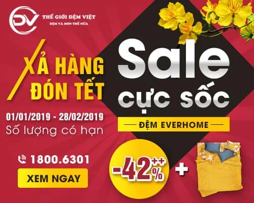 Xả Hàng Đón Tết – Sale Cực Sốc Đệm Everhome
