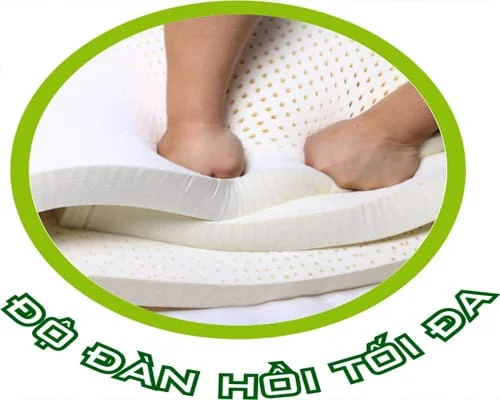 Cao su thiên nhiên là gì? Cao su tổng hợp là gì? Đặc điểm & Ứng dụng