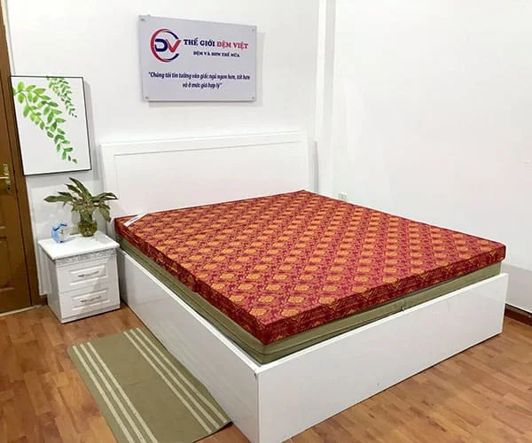Đệm bông ép Việt Á Babana 1