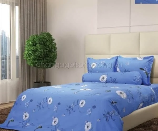 Bộ chăn ga gối Sông Hồng Classic Cotton SH_C19 C75