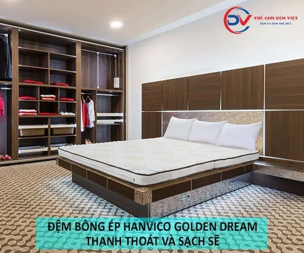 Đa dạng đệm phù hợp với mọi nhu cầu người tiêu dùng