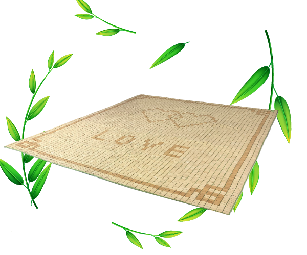 chieu truc que lam - tgdv