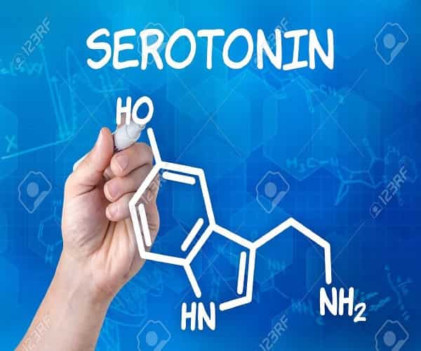 Serotonin có tác dụng gì? Chất dẫn truyền thần kinh Serotonin là gì?