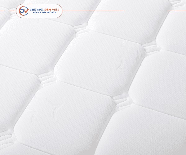 dem-domino-plus-thegioidemviet (2) Đệm lò xo domino plus
