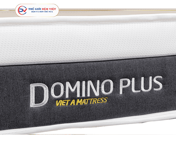 dem-domino-plus-thegioidemviet (8)