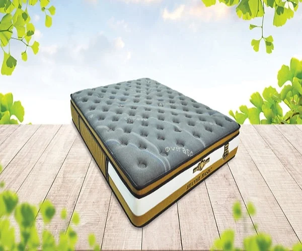 Đệm lò xo Kim Cương Eucoil Basic