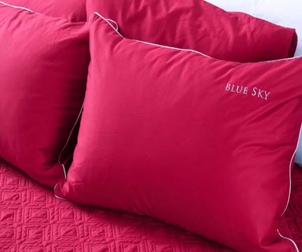 bo-ga-phu-theu-blue-sky-bs-83-04 Bộ ga phủ thêu Blue Sky BS 83