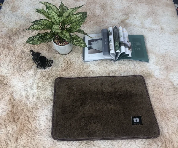 Thảm chùi chân lông màu đen nhám