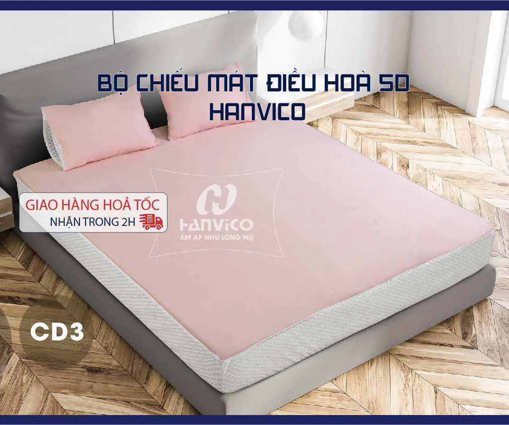 chieu-mat-dieu-hoa-5d-hanvico-chinh-hang