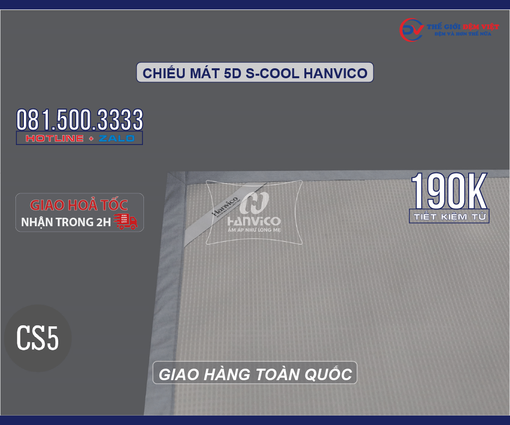 chieu-mat-5d-s-cool-hanvico-10
