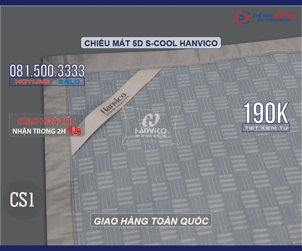 chieu-mat-5d-s-cool-hanvico-11