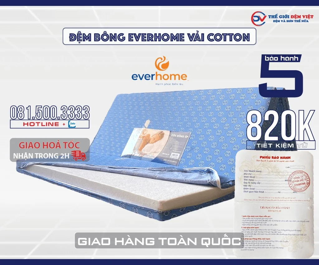 dem-bong-everhome-vai-cotton-06