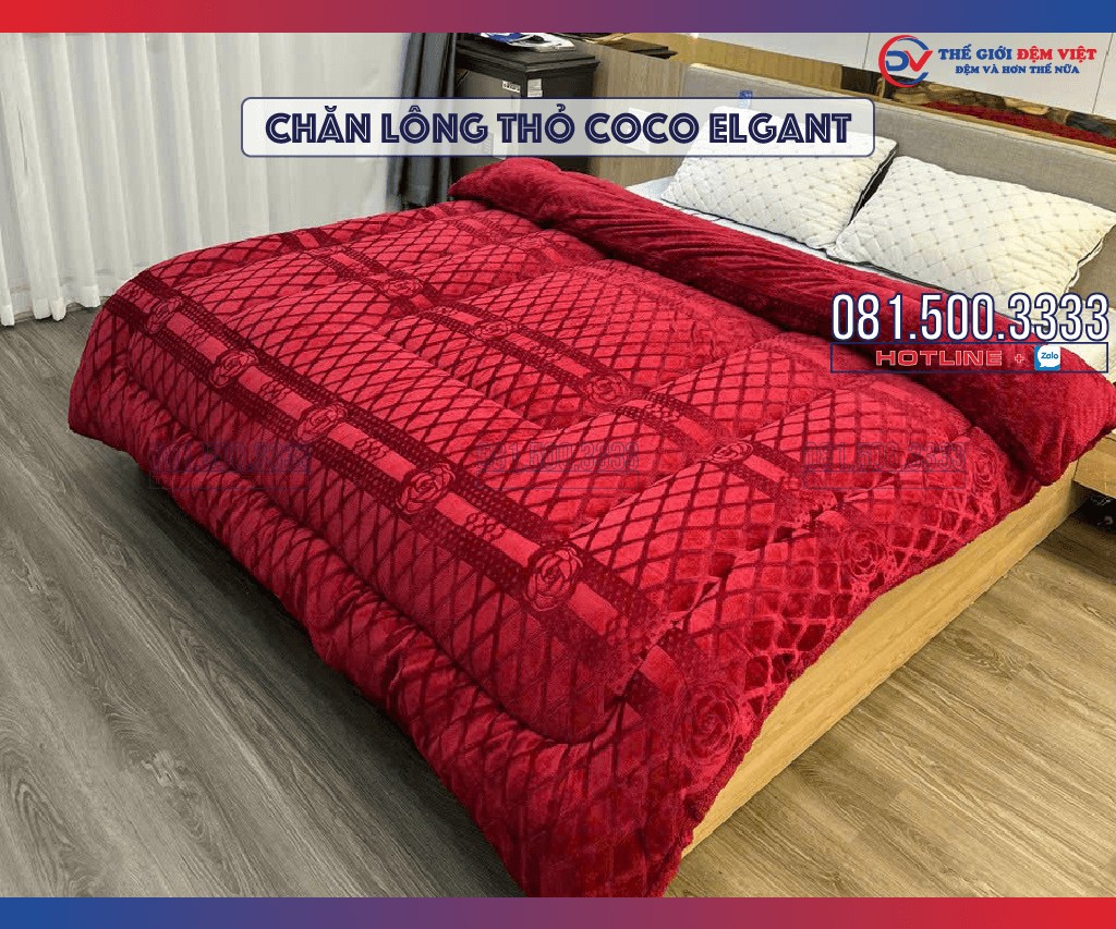 chan-long-tho-coco-elgant-01