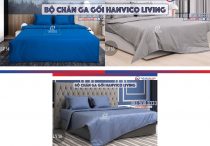 Bộ Chăn Ga Hanvico Living – LV54-55-56 [Cotton T300]